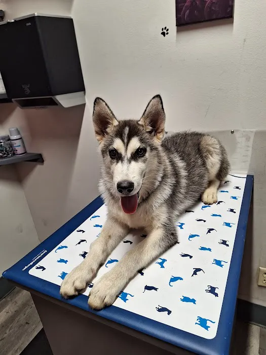 Hillcrest Animal Hospital 12