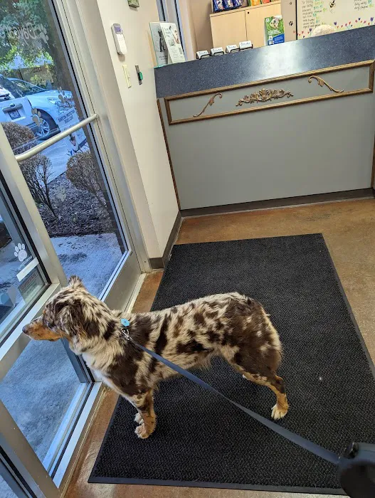 Hillcrest Animal Hospital 12