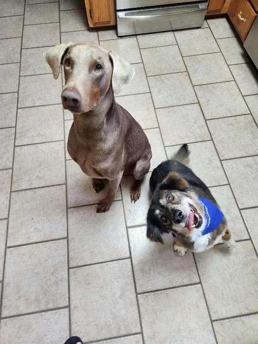 Hillcrest Animal Hospital 12