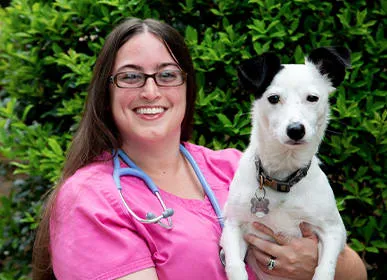 Hillcrest Animal Hospital 12