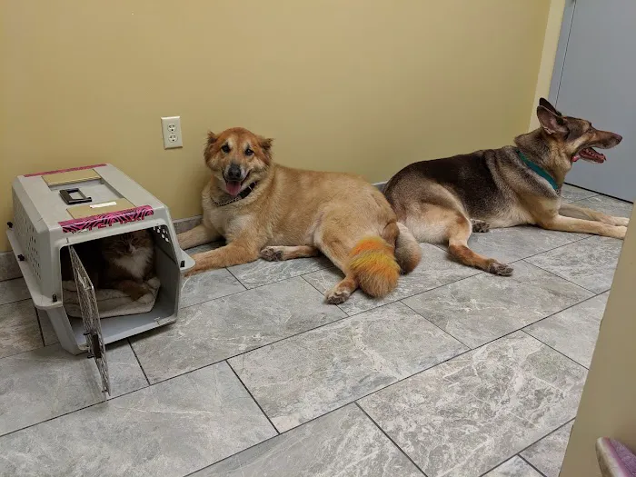 Gentle Care Animal Hospital 12