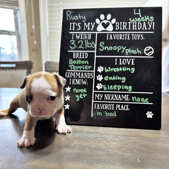 Family Veterinary Practice 12