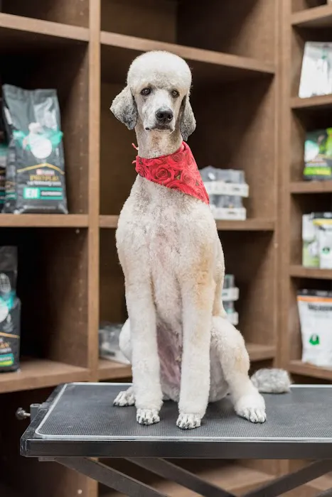 The Pet Hospitals Houston Levee & Macon 12