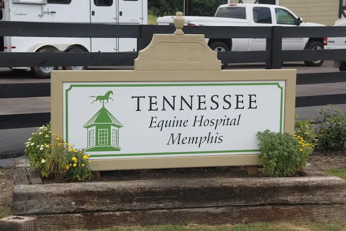 Tennessee Equine Hospital West 12