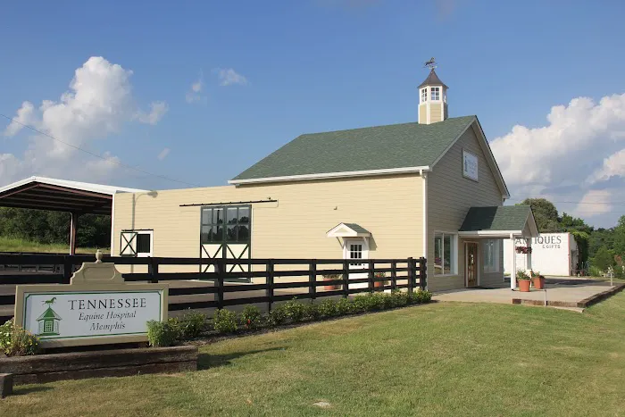Tennessee Equine Hospital West 12