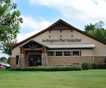 Arlington Pet Hospital