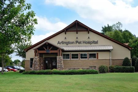 Arlington Pet Hospital