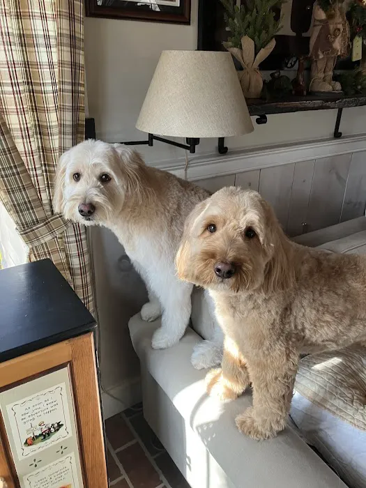 Doylestown Animal Medical Clinic 10