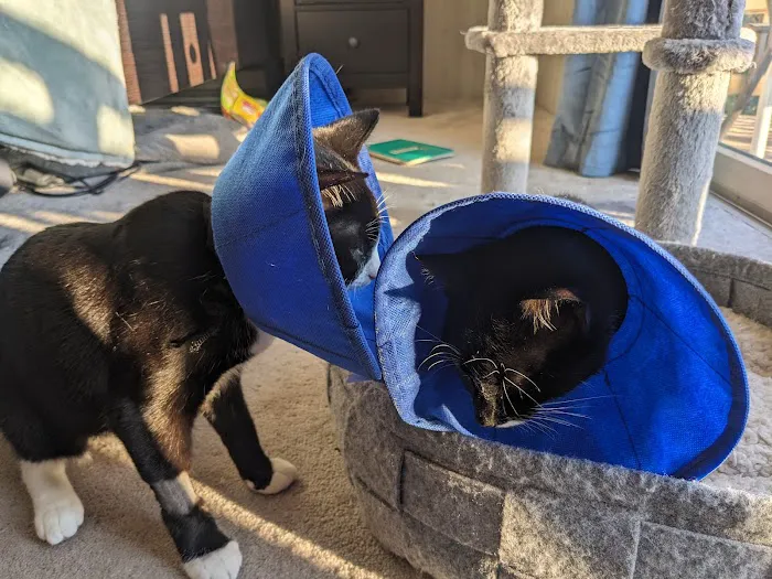 Central Bucks Veterinary Hospital 3