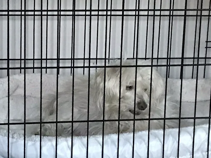 Circle of Life Veterinary Clinic 12