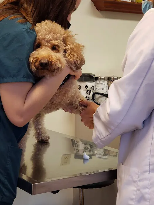 New Britain Veterinary Clinic 4