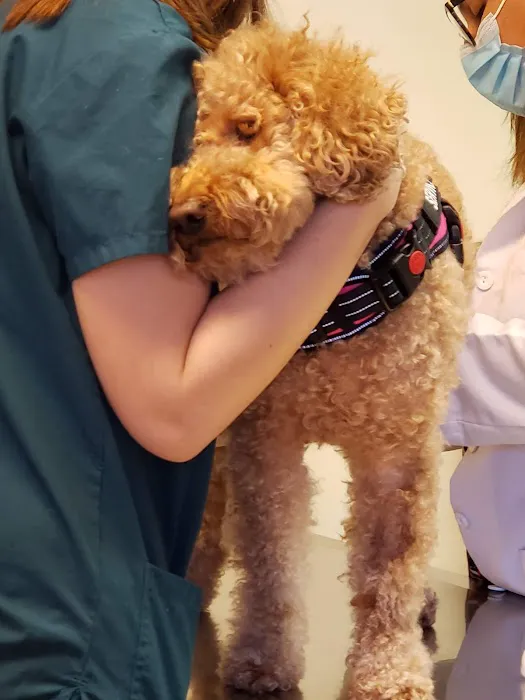 New Britain Veterinary Clinic 6
