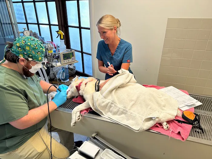 Buckingham Valley Veterinary Center 8