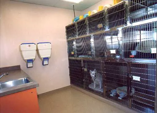 Indian Walk Veterinary Center 2