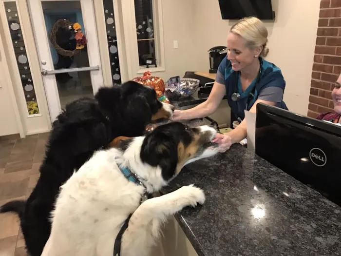 HousePaws Mobile Veterinary Service of Morrisville 1