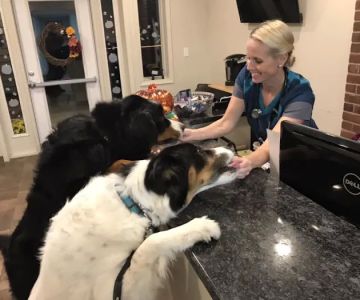 HousePaws Mobile Veterinary Service of Morrisville