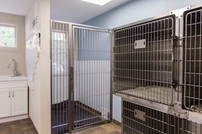 HousePaws Mobile Veterinary Service of Morrisville 3