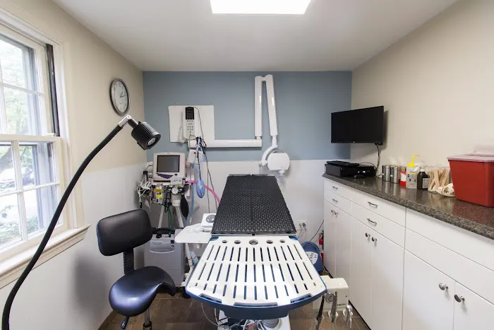 HousePaws Mobile Veterinary Service of Morrisville 4