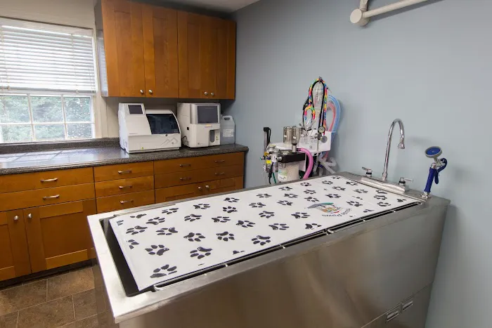 HousePaws Mobile Veterinary Service of Morrisville 9