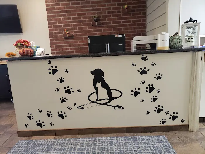 HousePaws Mobile Veterinary Service of Morrisville 10