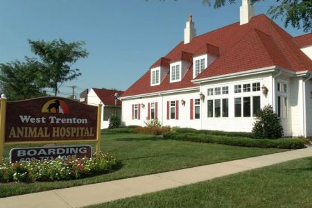 West Trenton Animal Hospital