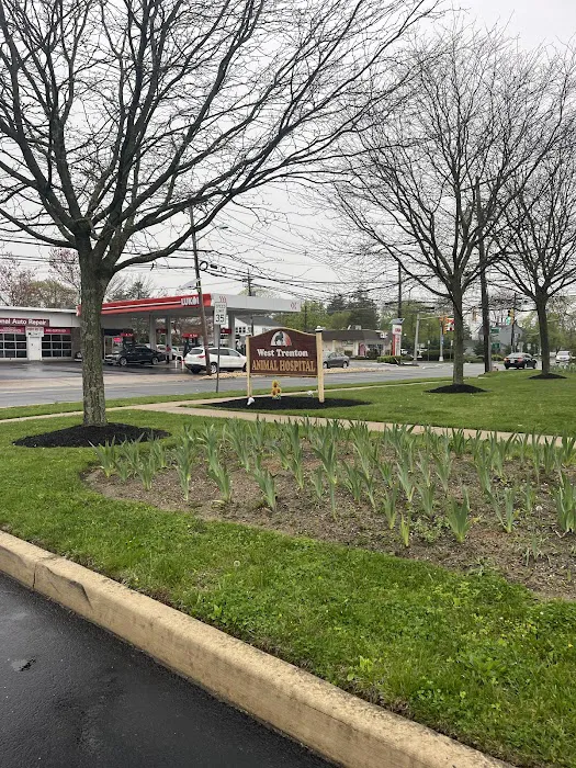 West Trenton Animal Hospital 7