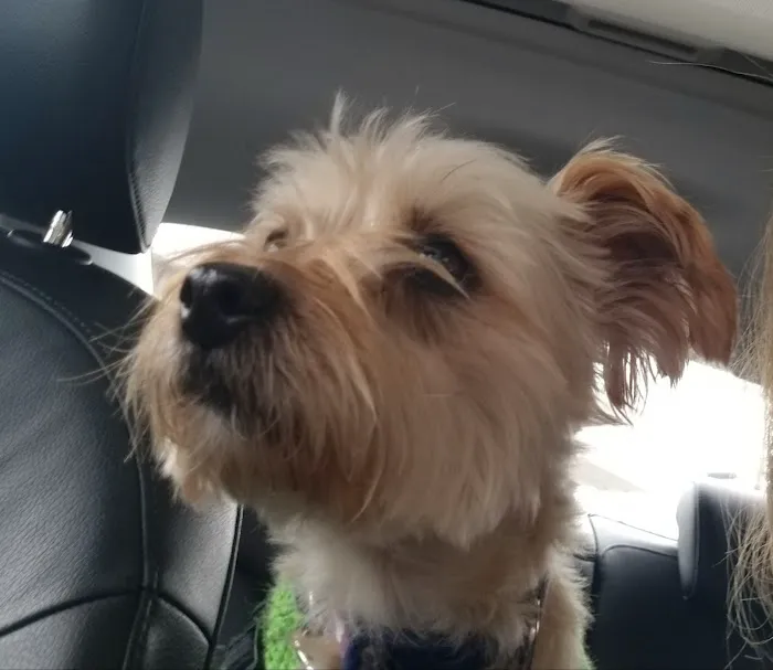 Ewing Veterinary Hospital 4