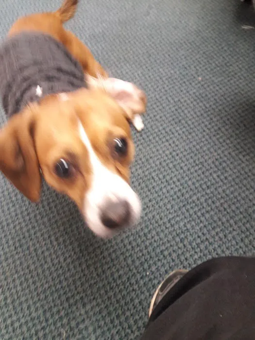 Ewing Veterinary Hospital 3