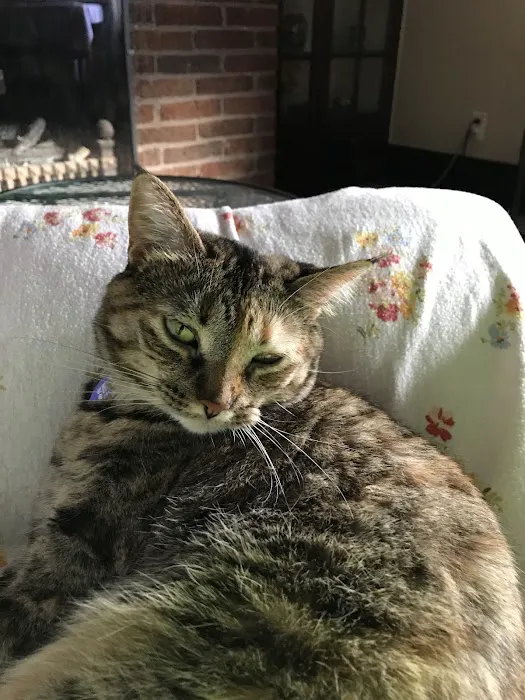 Lebanon Veterinary Clinic Inc 10