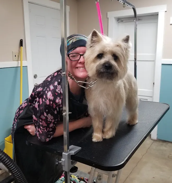 Lebanon Veterinary Clinic Inc 6