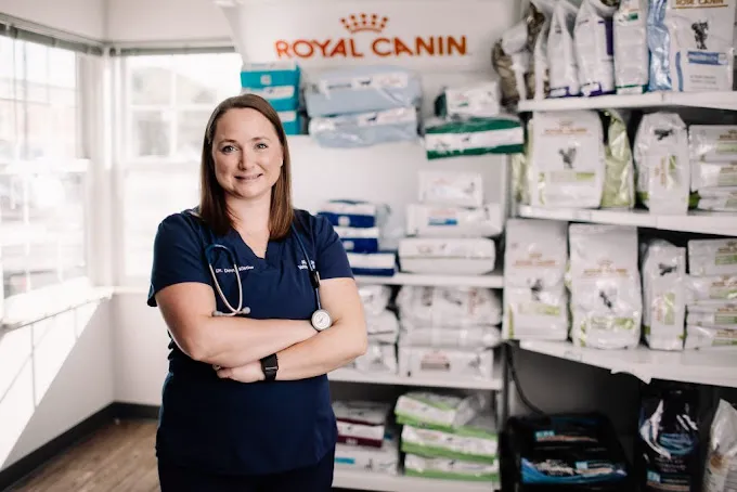 All Animals Veterinary Clinic 2