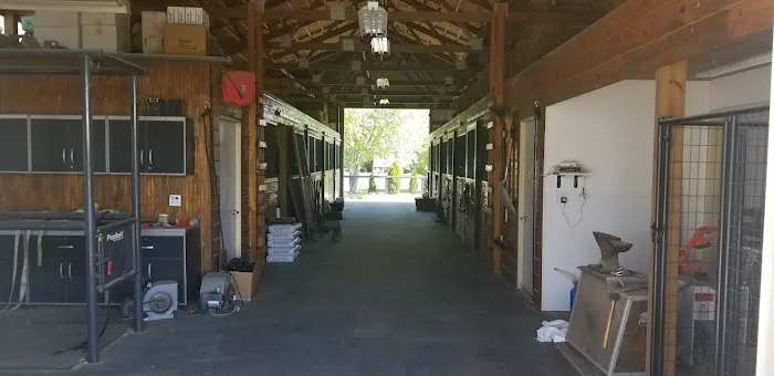 McDavitt Veterinary Clinic LLC 5