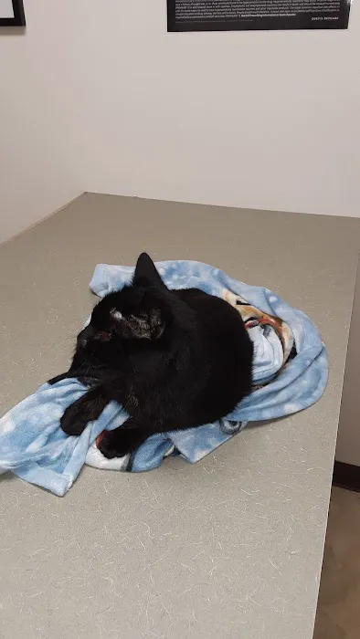 Greencastle Veterinary Clinic 3