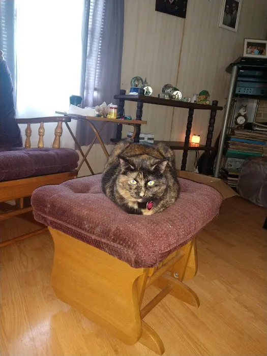 West Central Veterinary Services - Greencastle 9