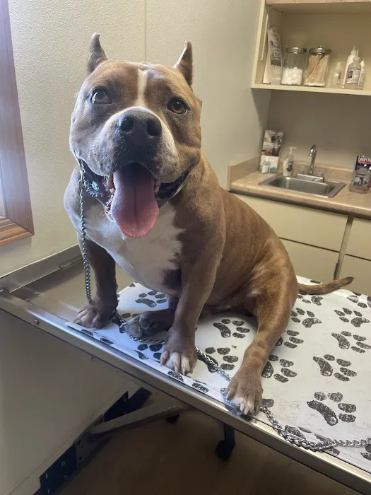 West Central Veterinary Services - Greencastle 7
