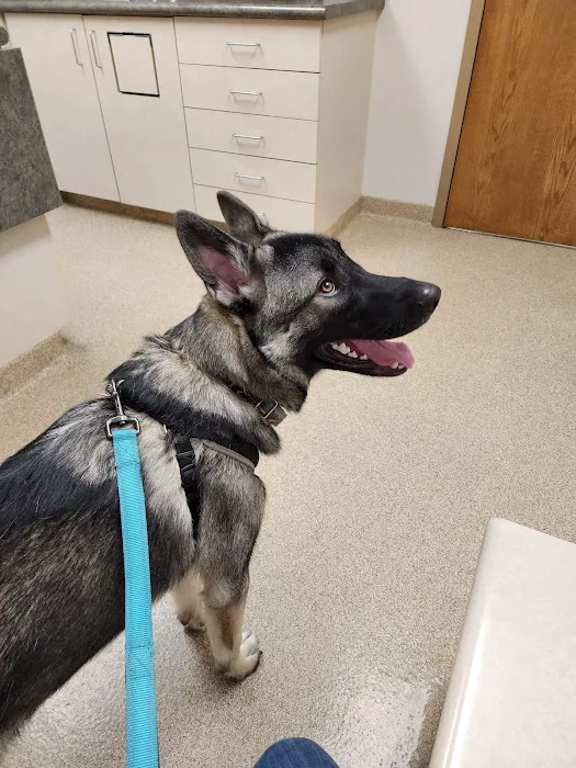 West Central Veterinary Services - Greencastle 4