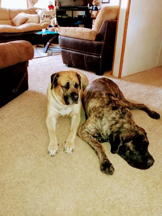 West Central Veterinary Services - Greencastle 1
