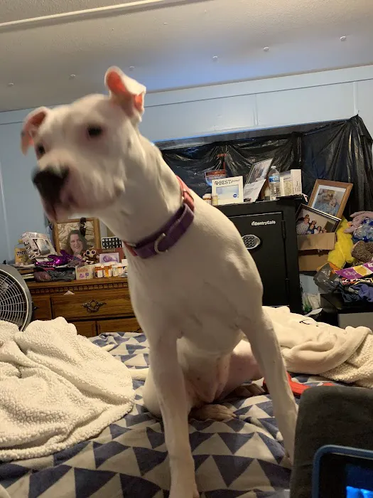 Monroe County Humane Association 12