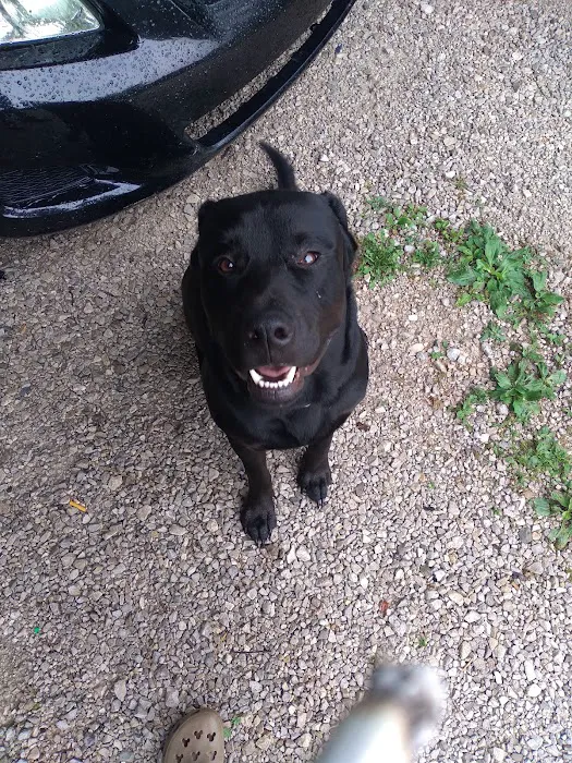 Monroe County Humane Association 12