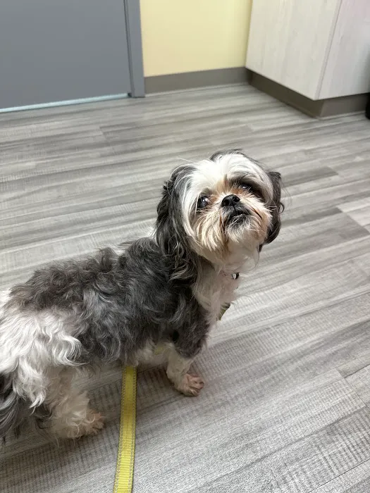 VetCheck Pet Urgent Care Center Bloomington 6
