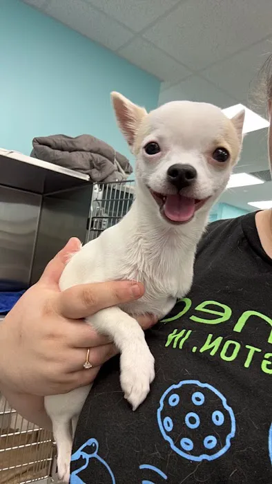 VetCheck Pet Urgent Care Center Bloomington 3