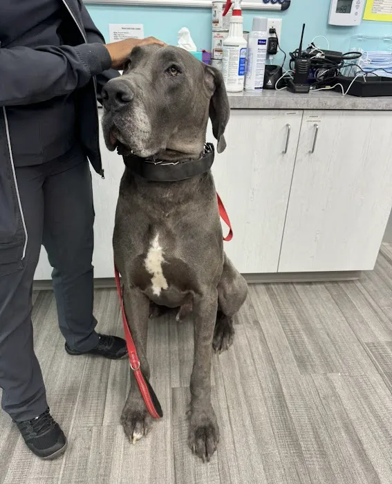 VetCheck Pet Urgent Care Center Bloomington 4
