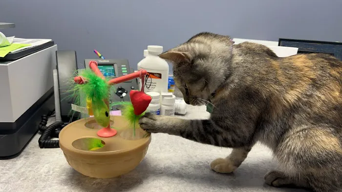VetCheck Pet Urgent Care Center Bloomington 1