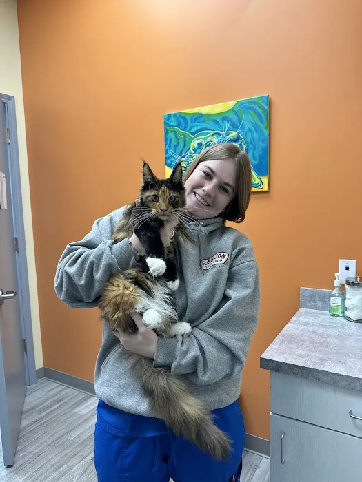 VetCheck Pet Urgent Care Center Bloomington 2