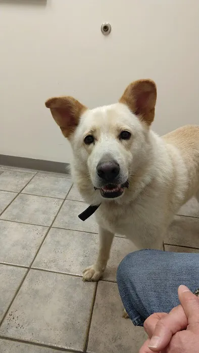 Combs Veterinary Clinic 4