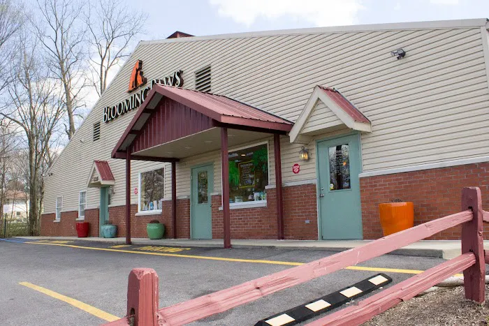 BloomingPaws Clinic Resort & Spa 12