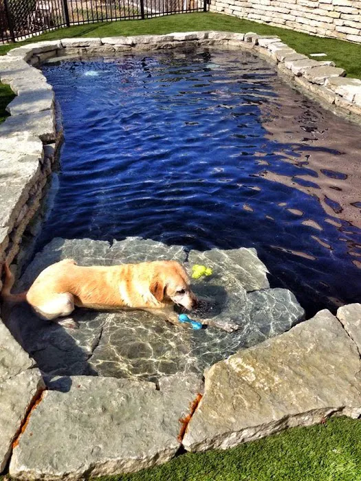 BloomingPaws Clinic Resort & Spa 12