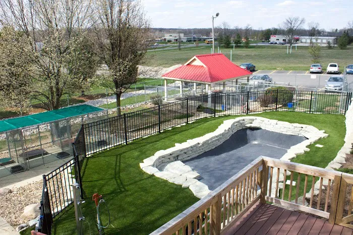 BloomingPaws Clinic Resort & Spa 12