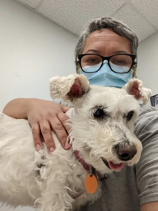 Arlington Heights Veterinary Hospital - South 2