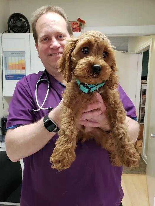 Cicero Veterinary Clinic 5
